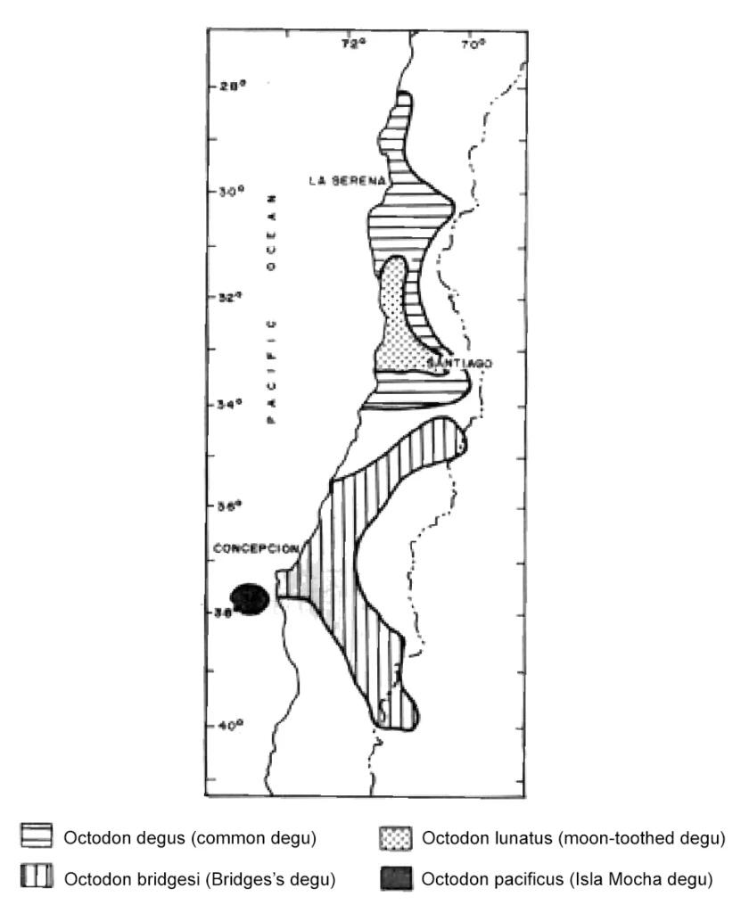 Distribution of Octodontid rodents in central Chile